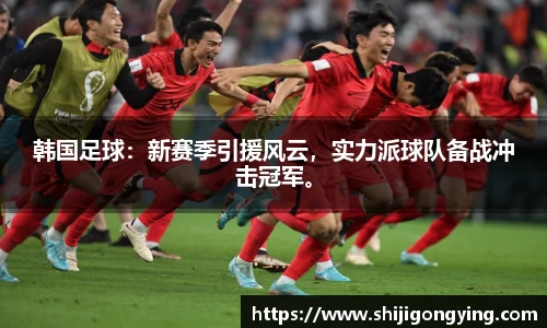 韩国足球：新赛季引援风云，实力派球队备战冲击冠军。