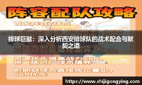 排球巨献：深入分析西安排球队的战术配合与默契之道