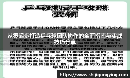 从零起步打造乒乓球团队协作的全面指南与实战技巧分享