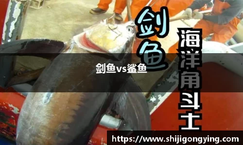 剑鱼vs鲨鱼