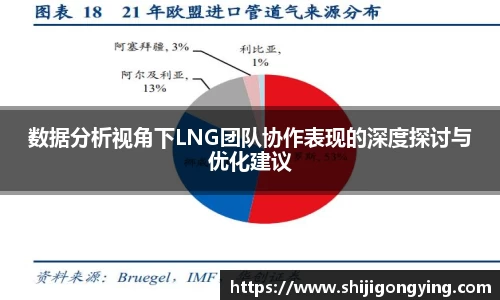 数据分析视角下LNG团队协作表现的深度探讨与优化建议