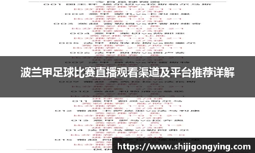 波兰甲足球比赛直播观看渠道及平台推荐详解