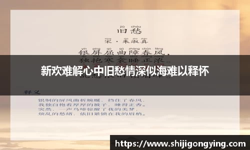 新欢难解心中旧愁情深似海难以释怀