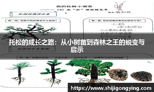 托松的成长之路：从小树苗到森林之王的蜕变与启示