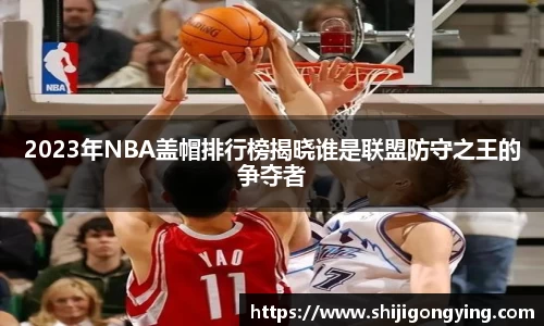 2023年NBA盖帽排行榜揭晓谁是联盟防守之王的争夺者