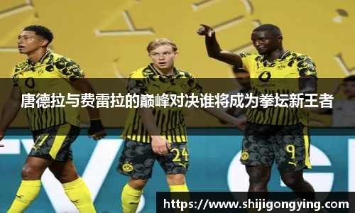 唐德拉与费雷拉的巅峰对决谁将成为拳坛新王者